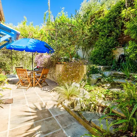 Grand Bougainvillee